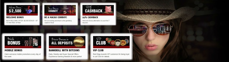 Enjoy The Red Stag Casino Online Bonuses
